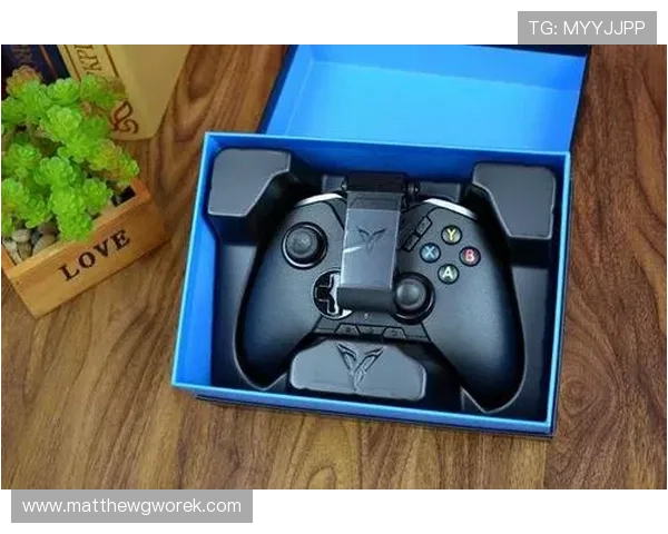 博鱼电竞官网app电竞赛事资讯与最新动态全攻略